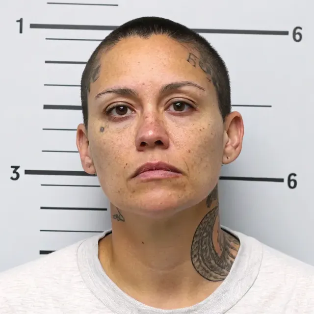 Create AI Mugshots Effects – Mugshot Photo Generator: example 1