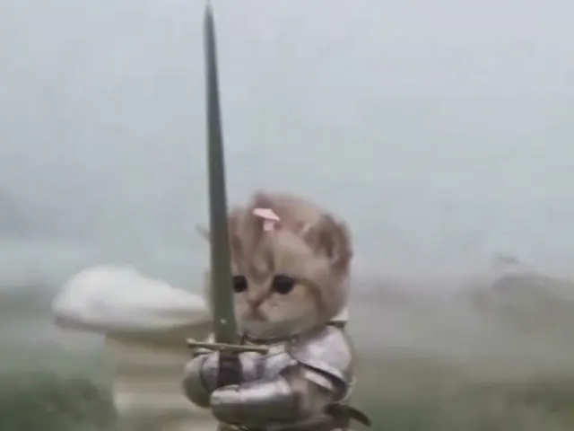 Knight Cat AI Video: example 1