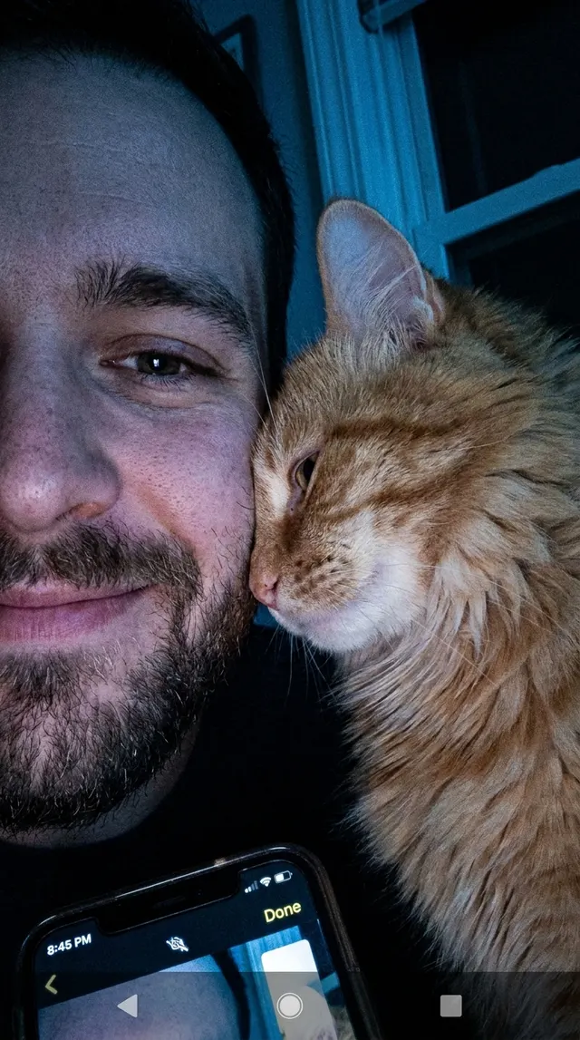 Pet Love Effect Photo Generator: example 1